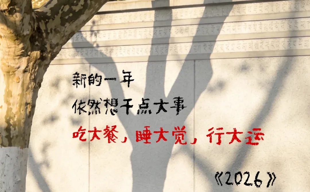 王富贵的新诗《2026的新年愿望》