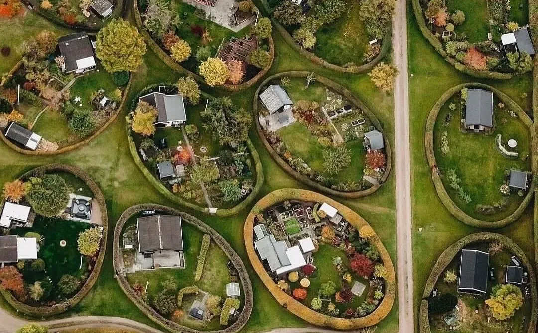 椭圆花园的一年四季