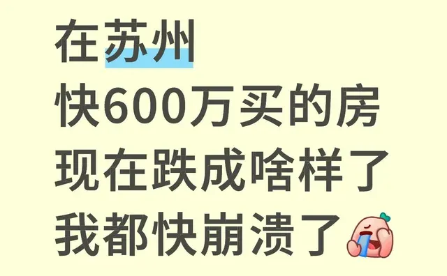 在苏州快600个W买的房现在跌成啥样了