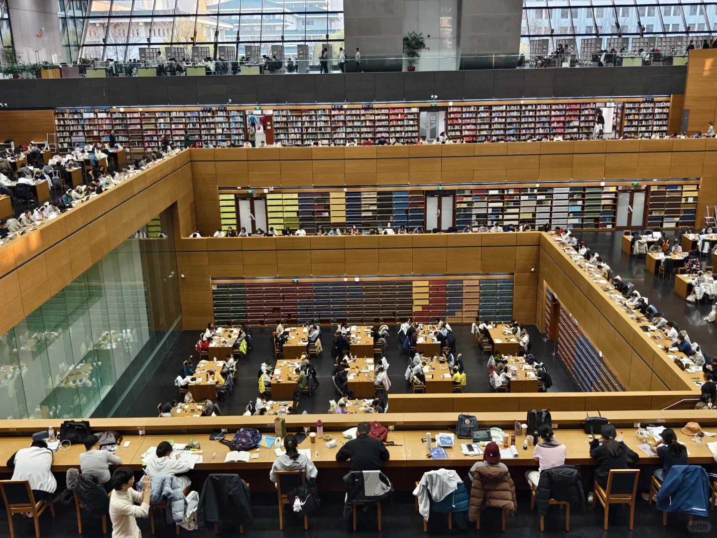 狗来了都得学两小时，亚洲最大的图书馆