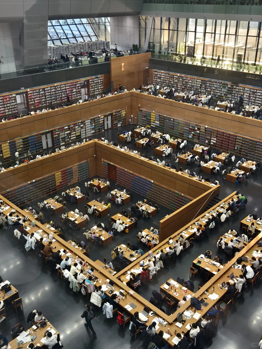 狗来了都得学两小时，亚洲最大的图书馆