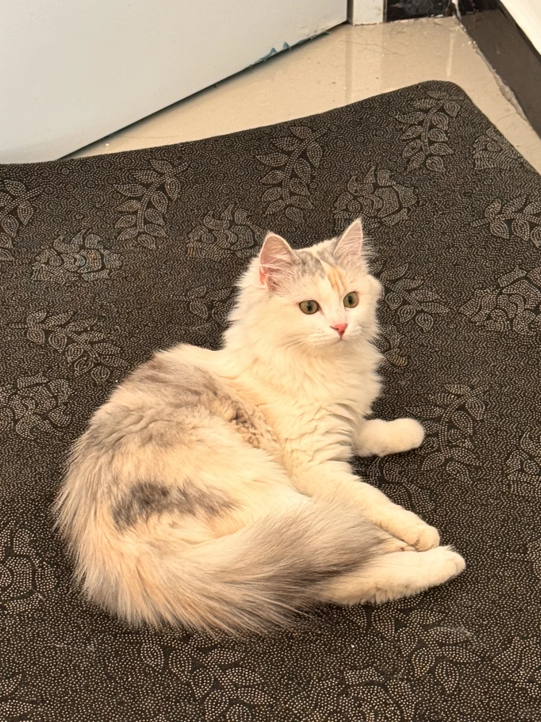 邯郸银三花相亲