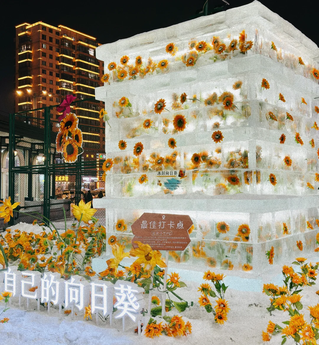 可能其实还是晚上更美丽[晚安R]哈尔滨 雪一落就美成了诗