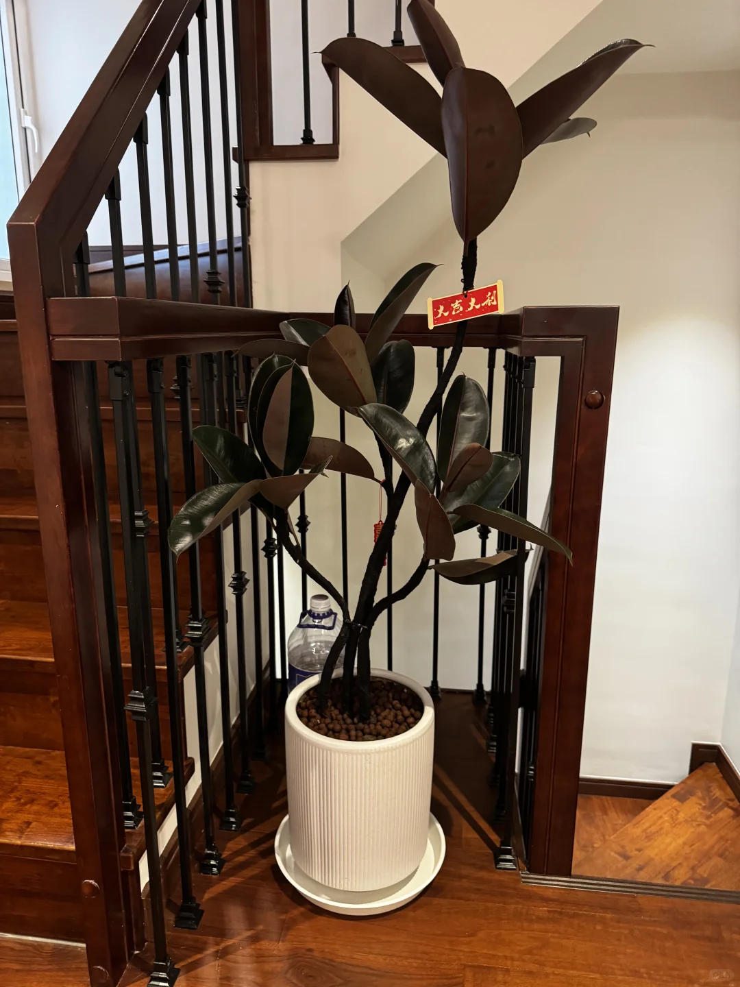 今日份送达-青浦