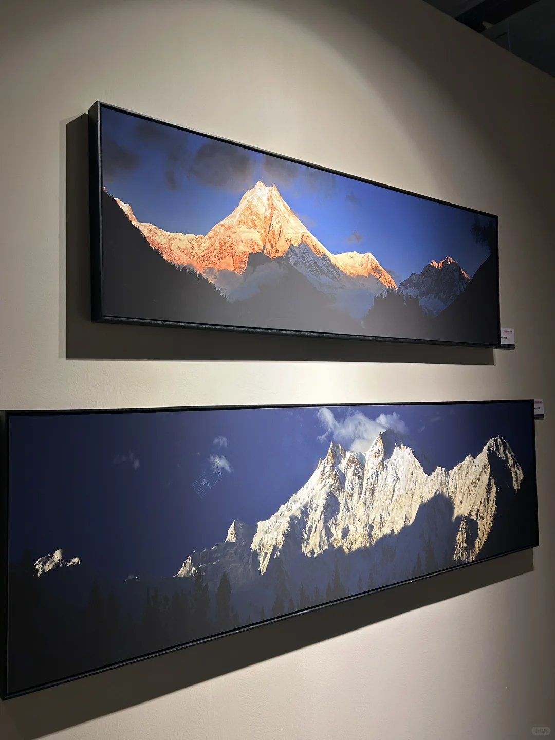 河北邯郸?美乐城真的太好玩啦