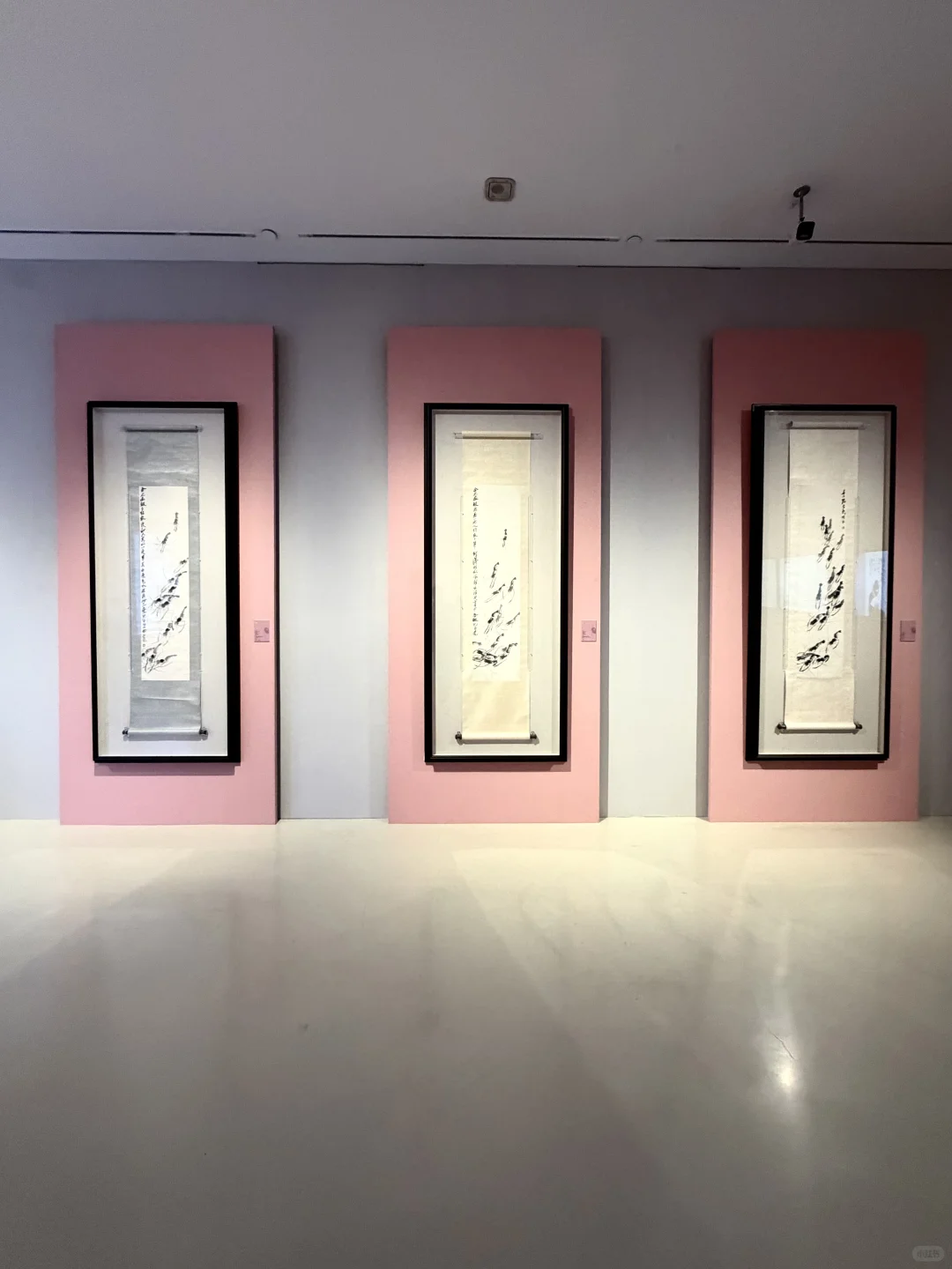 山东美术馆年末憋了个大的。。。。。。