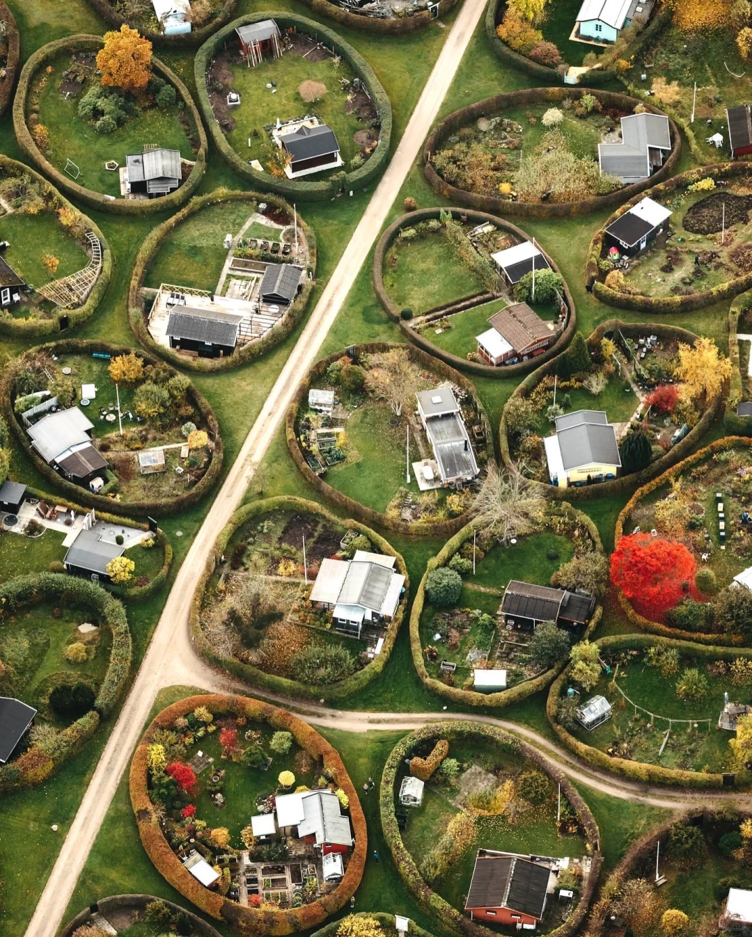 椭圆花园的一年四季