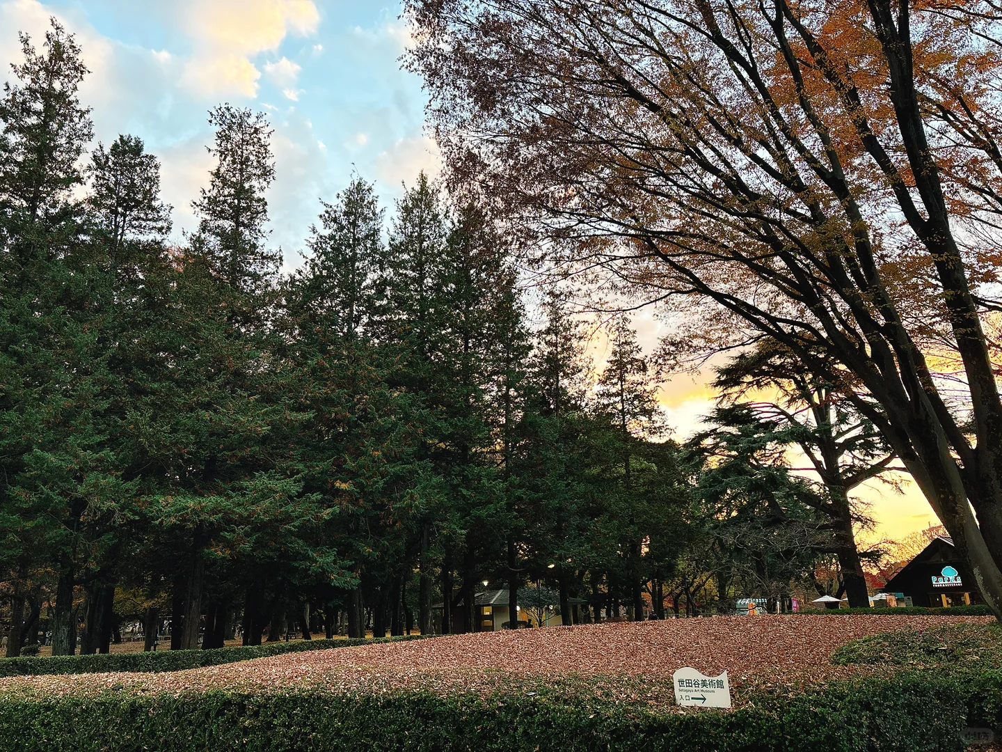 东京看展｜…ing，mina perhonen