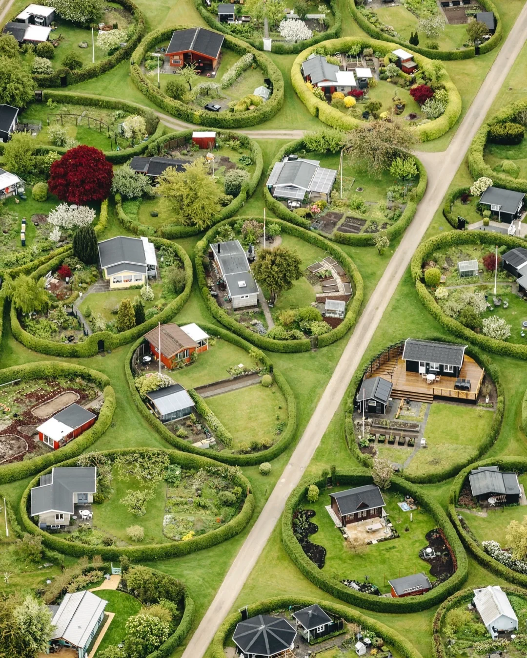 椭圆花园的一年四季