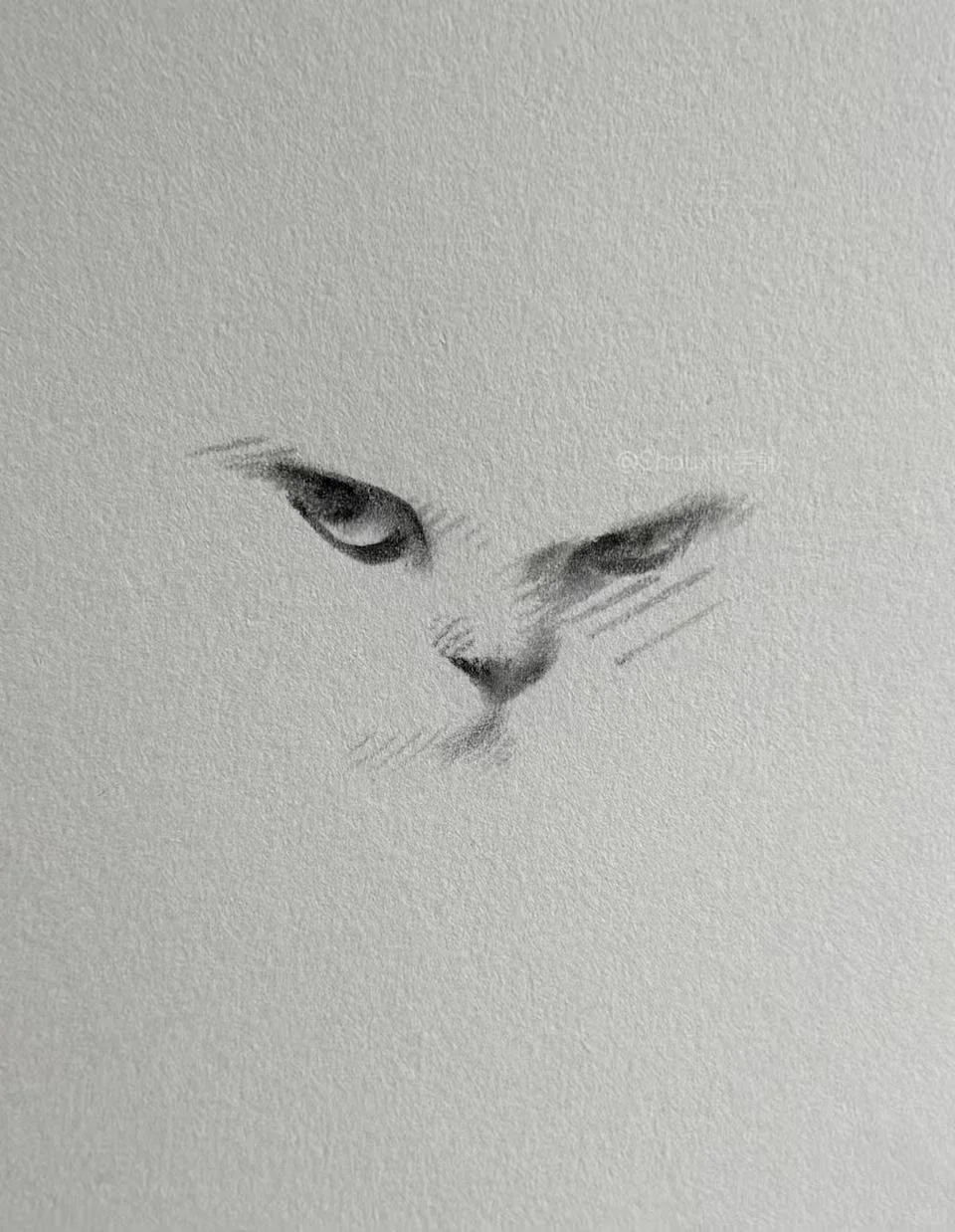 画到一半忍不住拍下来…