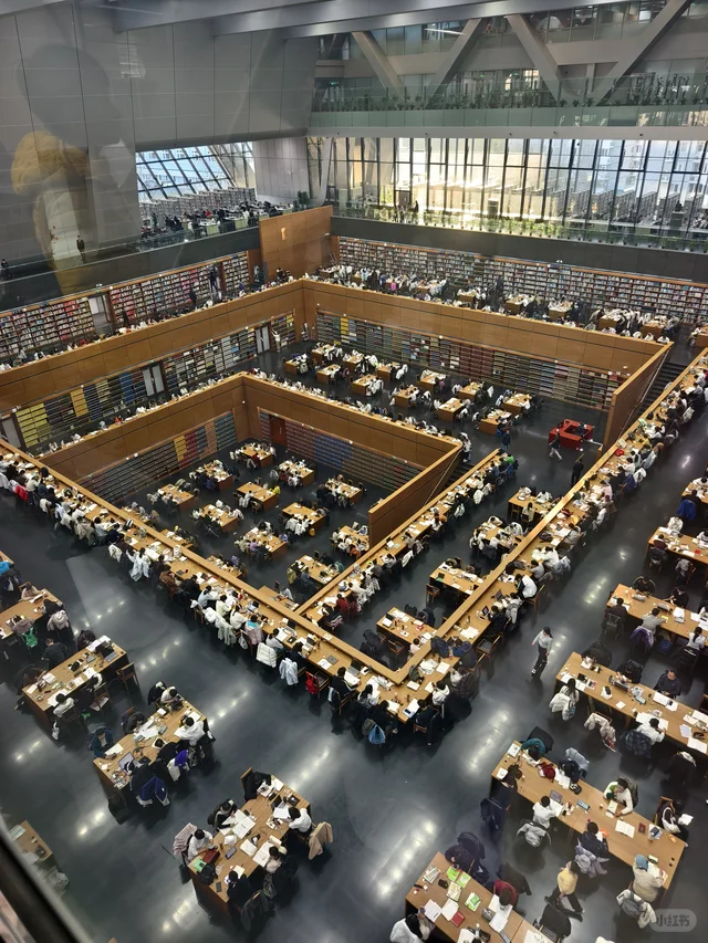 狗来了都得学两小时，亚洲最大的图书馆