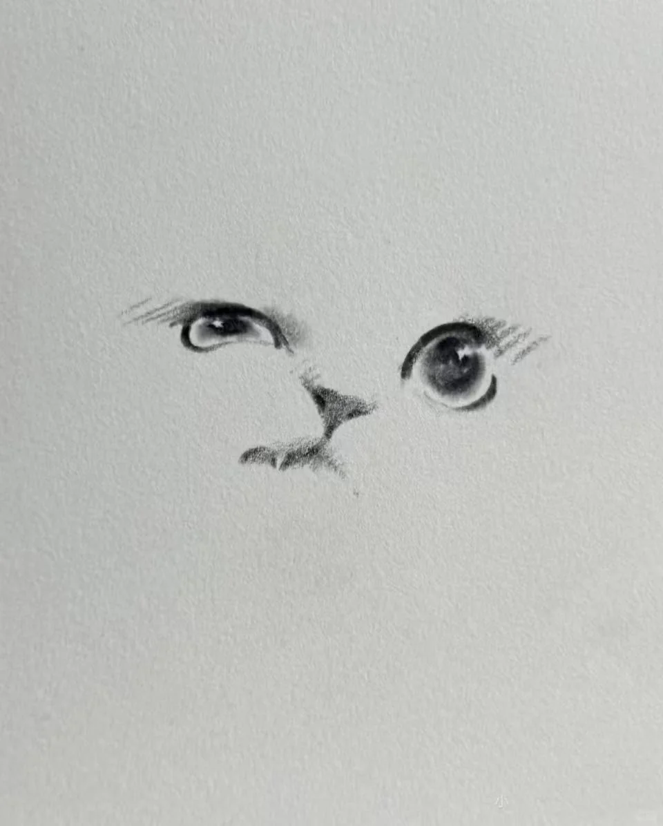 画到一半忍不住拍下来…