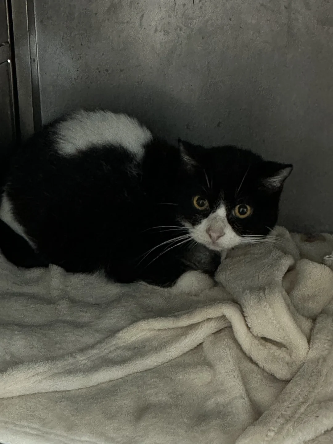 人，你还记得我吗？