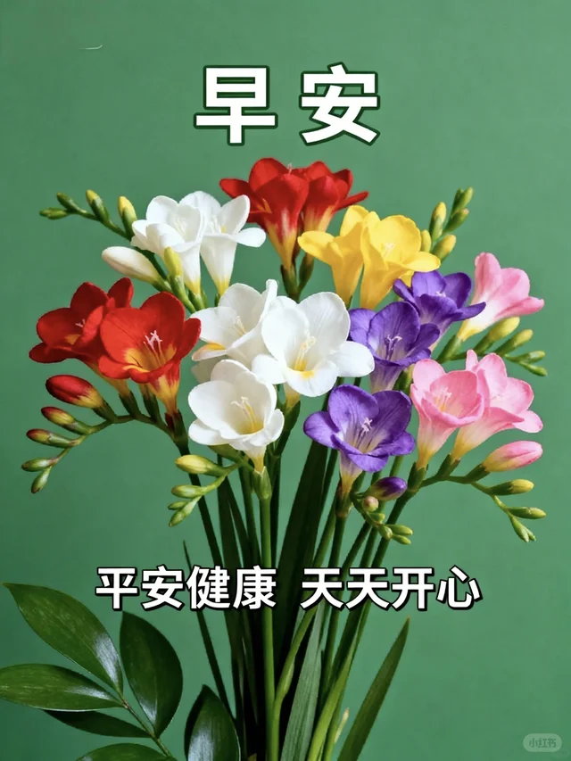 愿一切美好与你相伴 迎接新的一天 早安日签 早安图 美好的一天从清晨开始 愿所有