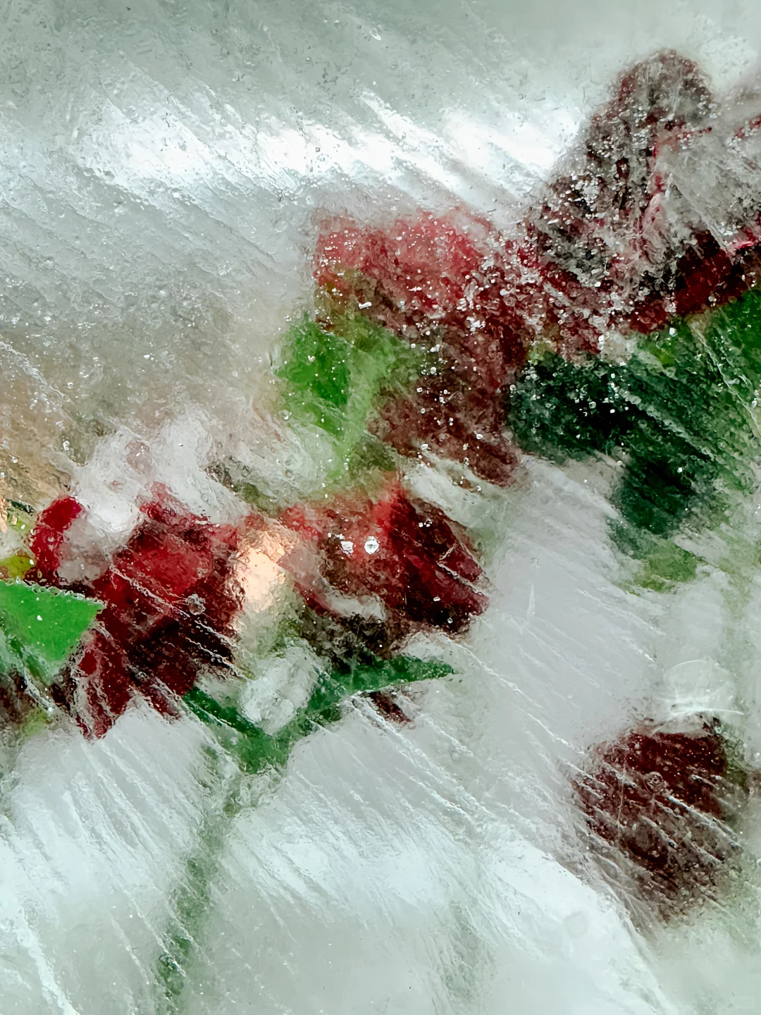 可能其实还是晚上更美丽[晚安R]哈尔滨 雪一落就美成了诗