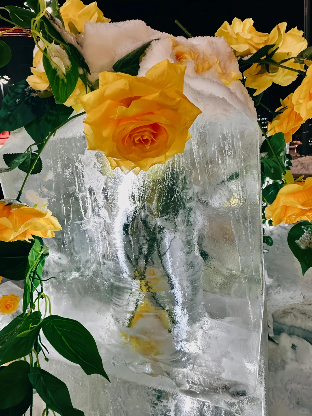 可能其实还是晚上更美丽[晚安R]哈尔滨 雪一落就美成了诗