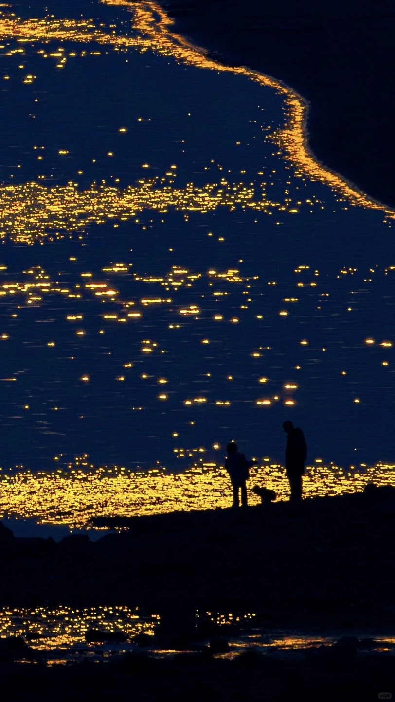 2025|星光会说话。