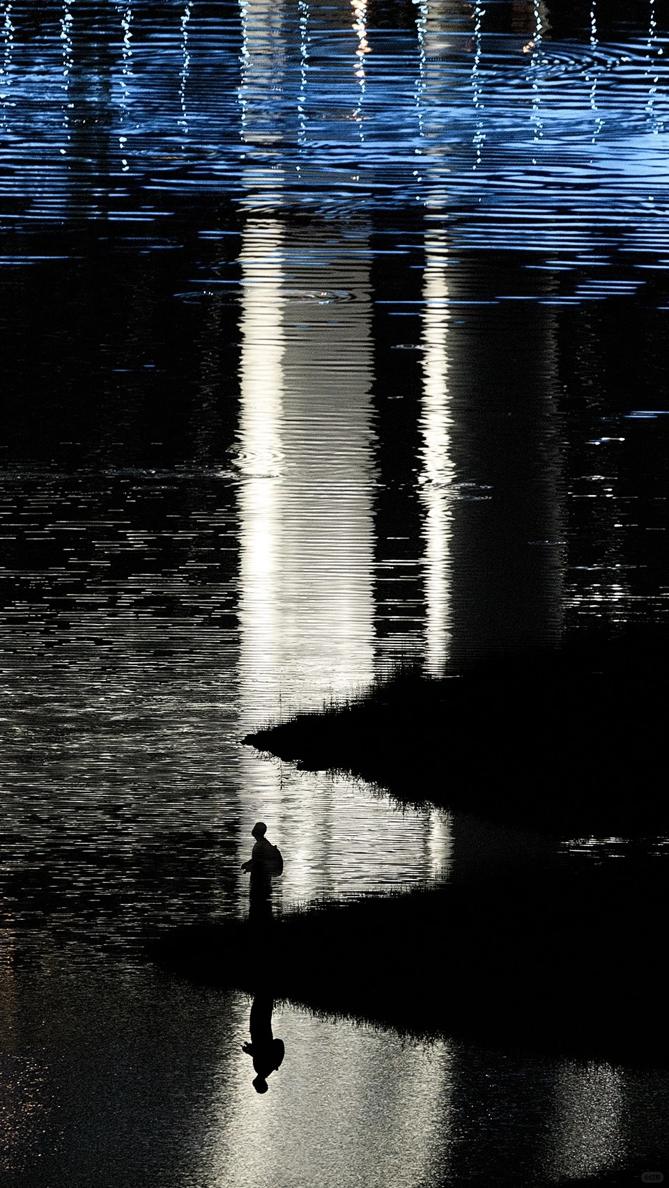 2025|星光会说话。