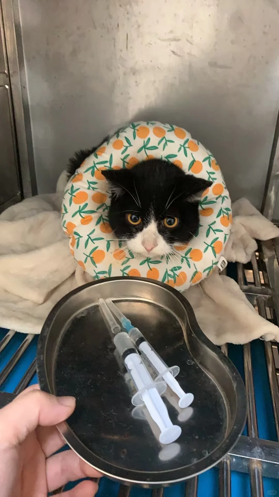 人，你还记得我吗？