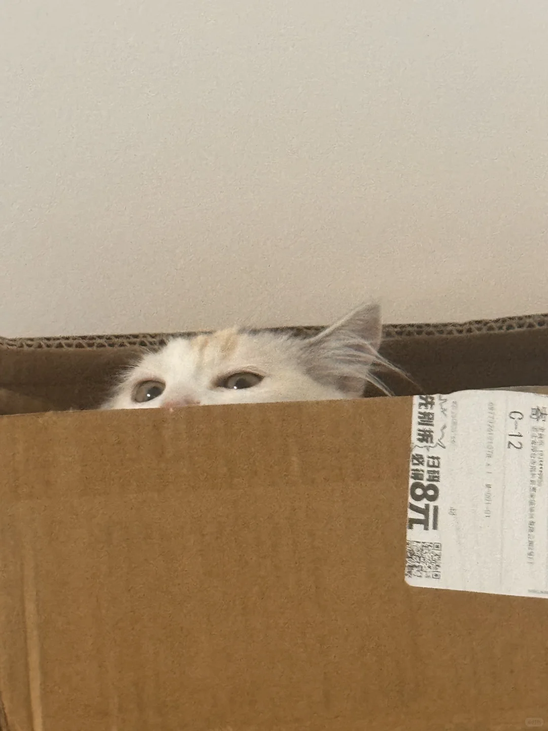 邯郸银三花相亲