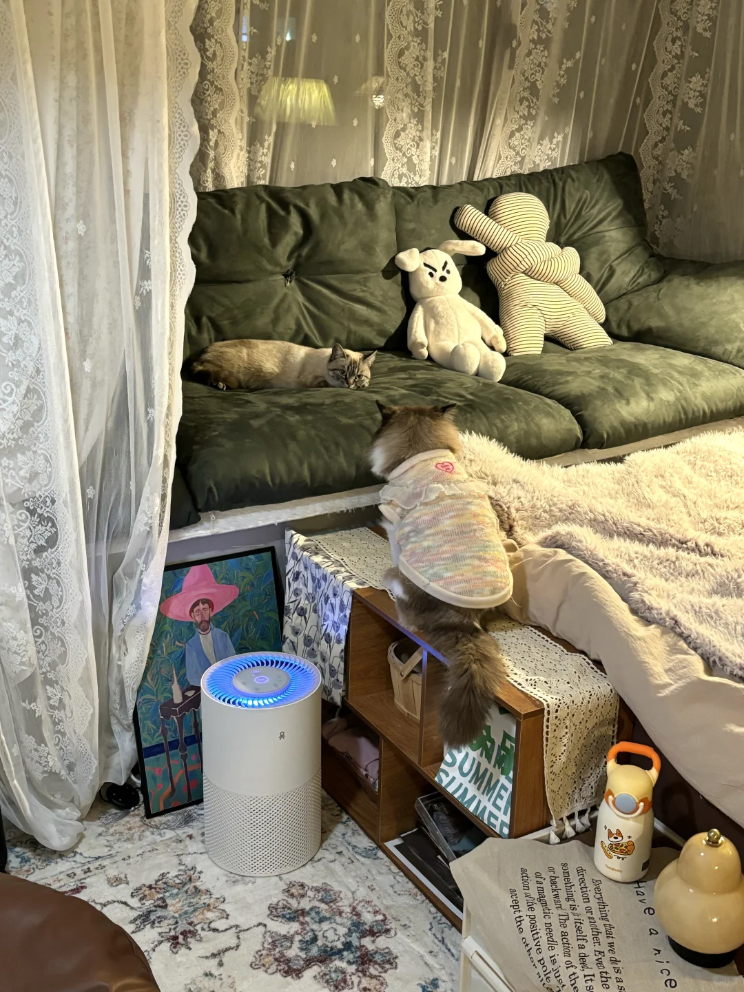 我妈不敢相信这是同一个房间……?