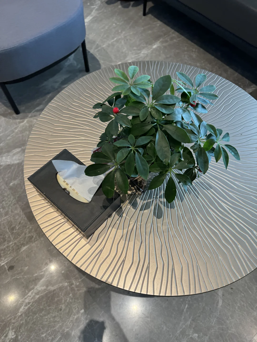 酒店茶几上的绿植太加分了！叶片翠绿饱满超有生命力，搭配简约花盆和房间风格完美契合