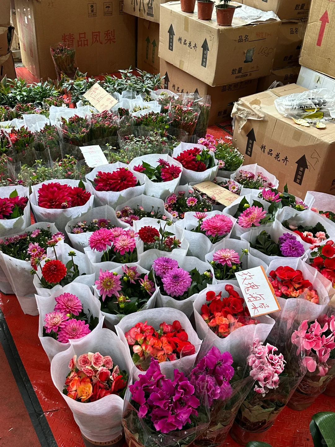 我靠我靠我靠！！！北京开了开了开了。。。