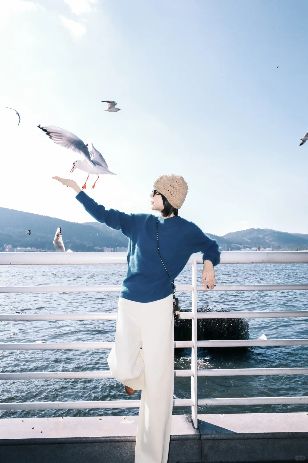 非常Lucky✌️遇到了滇池海鸥回迁时?