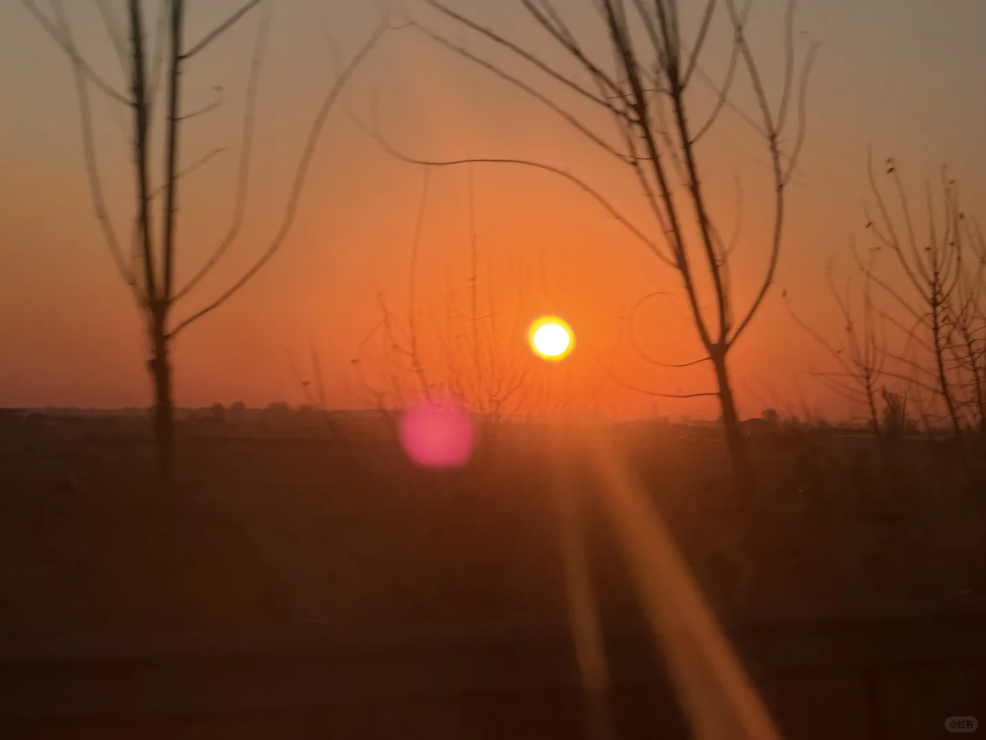 早起的噜会收获很长的一天