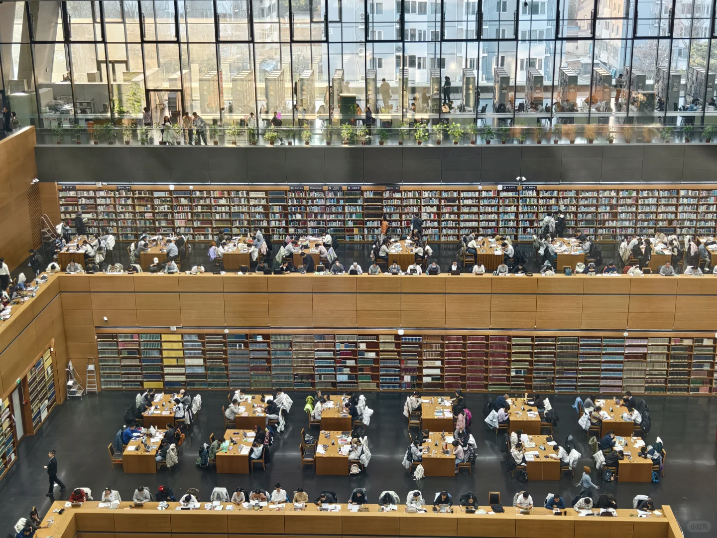 狗来了都得学两小时，亚洲最大的图书馆