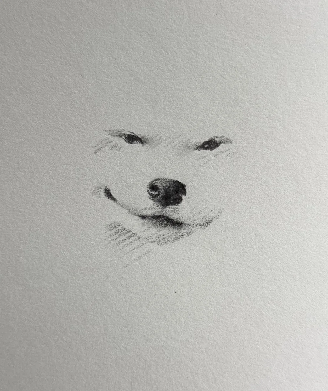 画到一半忍不住拍下来…