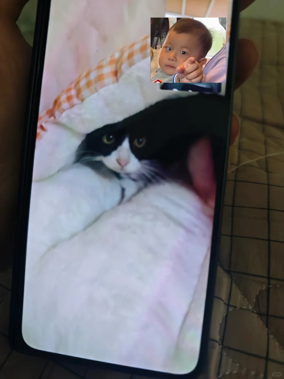 人，你还记得我吗？