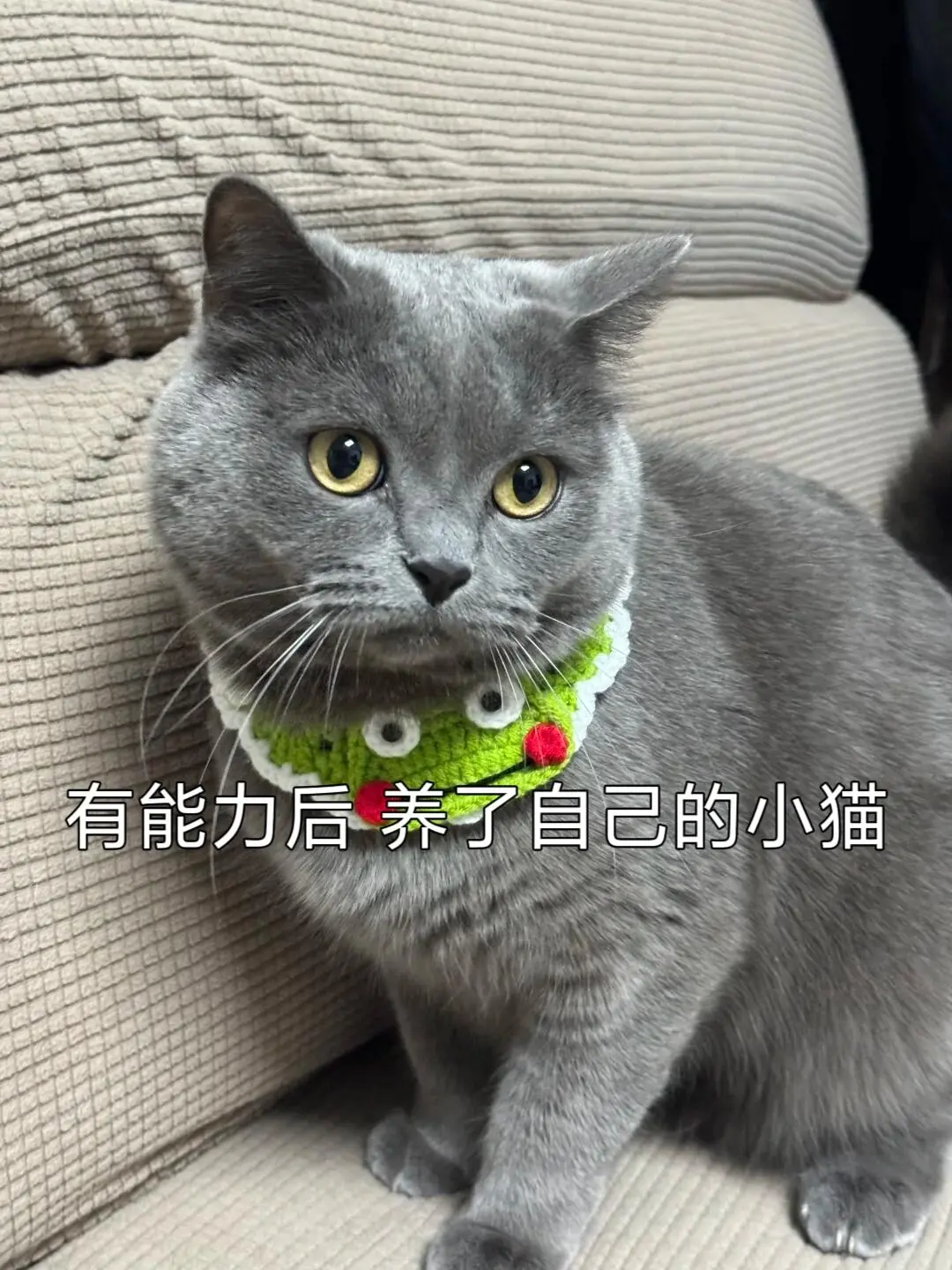 果然干过团播的转行干什么都会成功的呀呀！