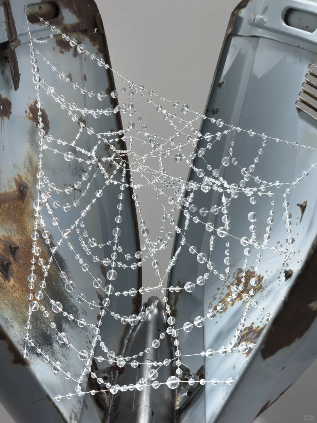 Kathleen Ryan：用宝石雕刻腐烂