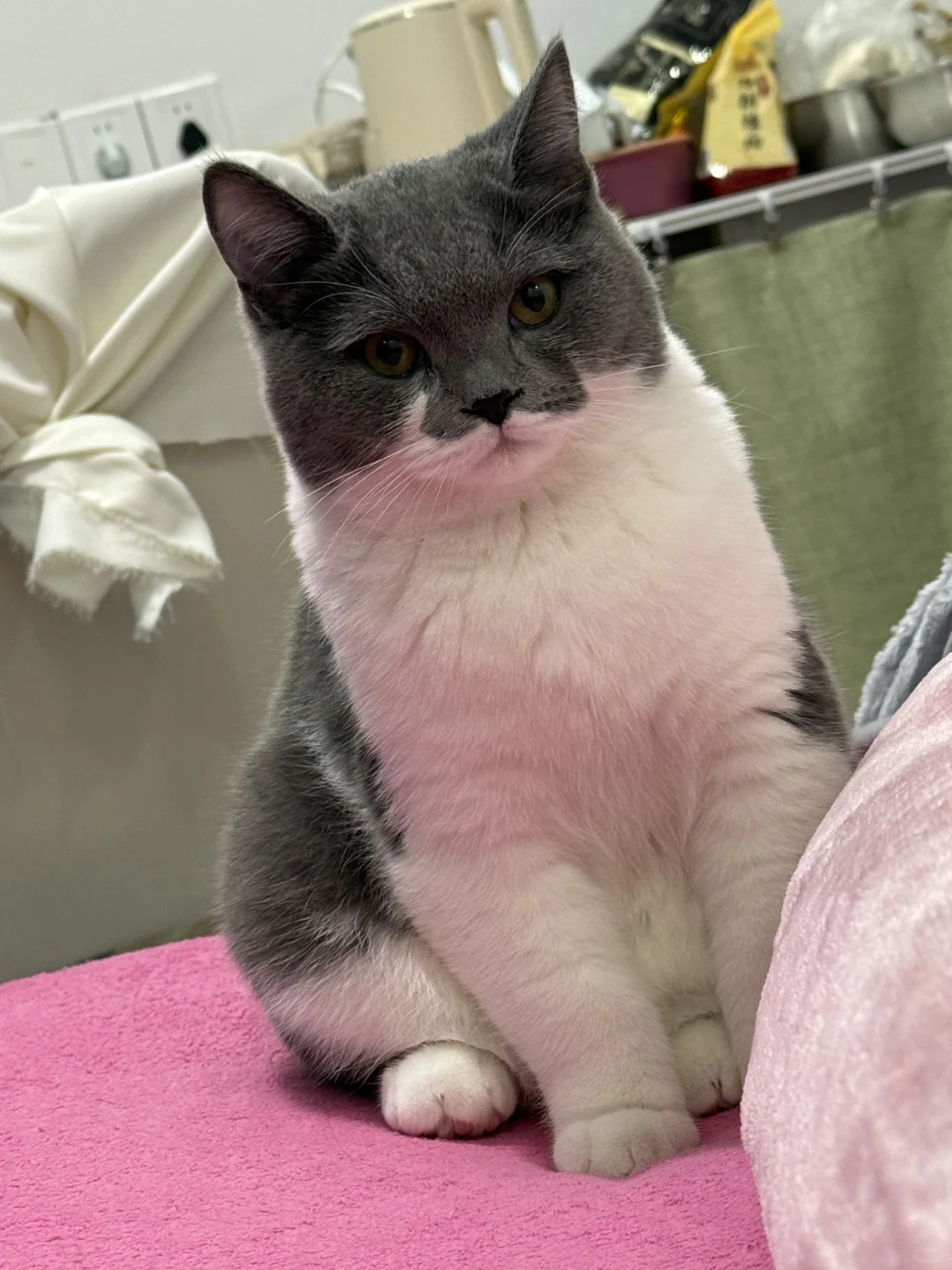 室友晚上不洗脚怎么办