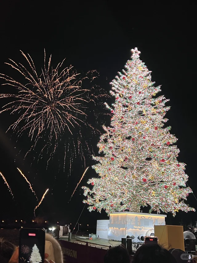 很喜欢这张照片