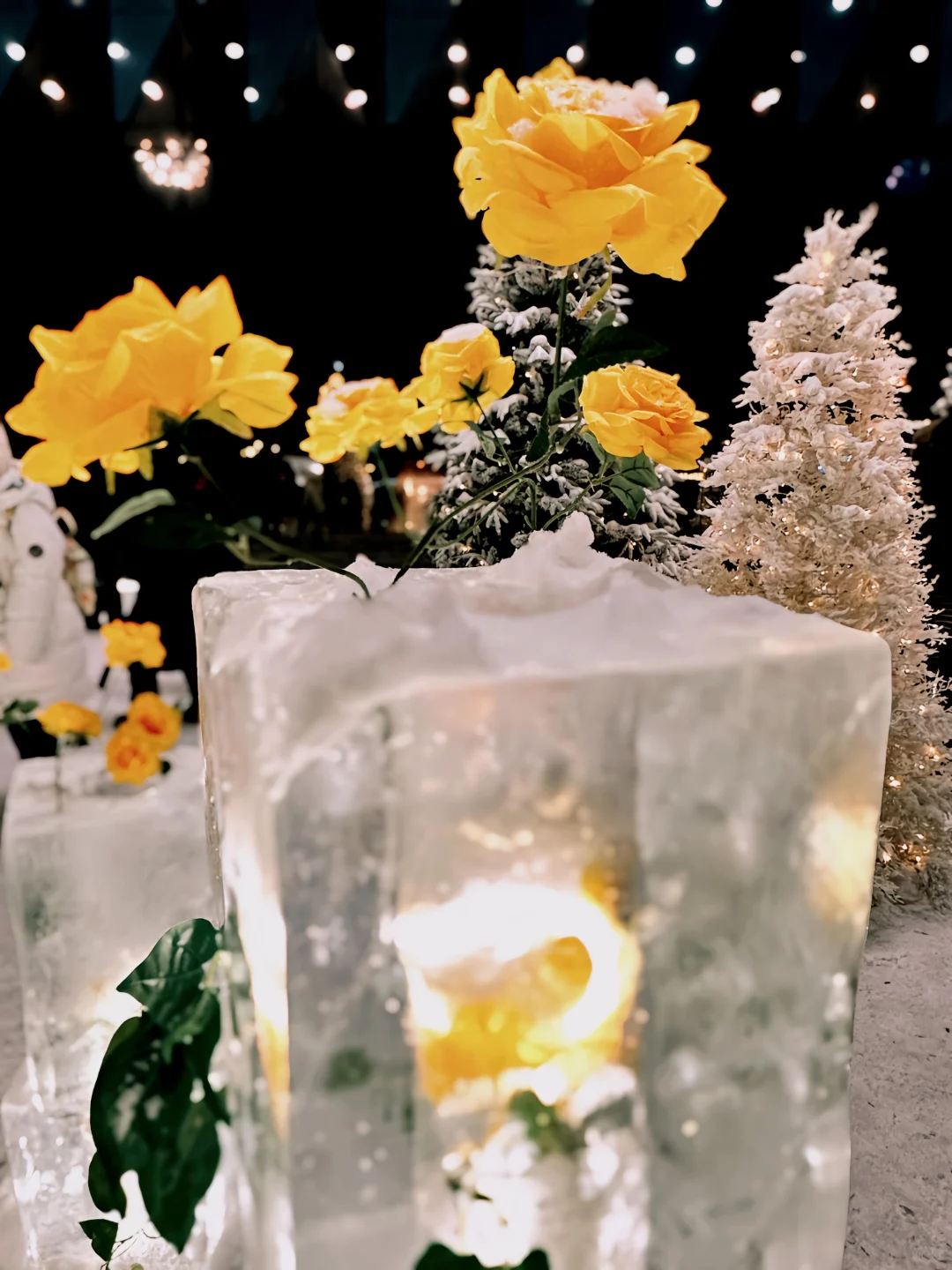 可能其实还是晚上更美丽[晚安R]哈尔滨 雪一落就美成了诗