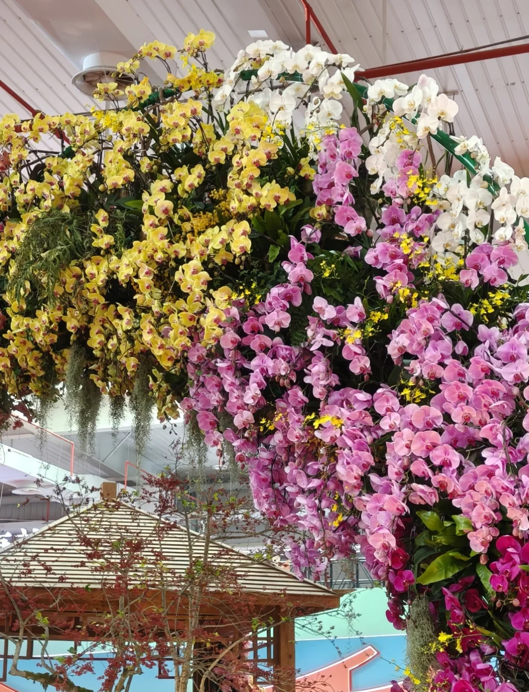 #2025年东南现代农业博览会.花卉博览会#