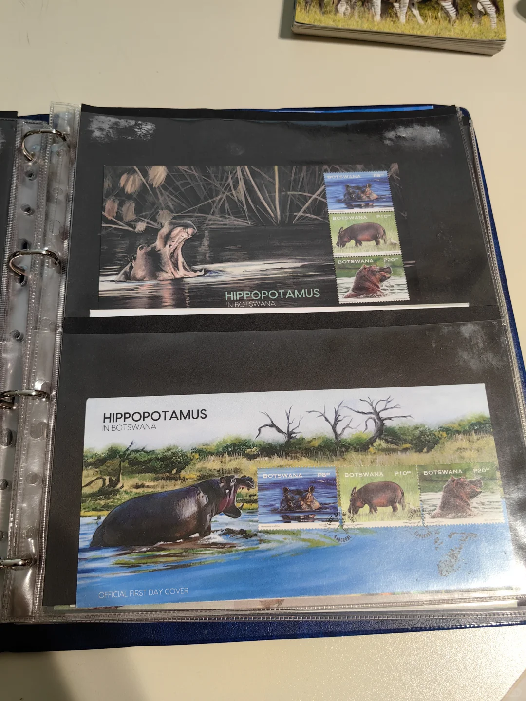 博茨瓦纳??明信片及邮票part1