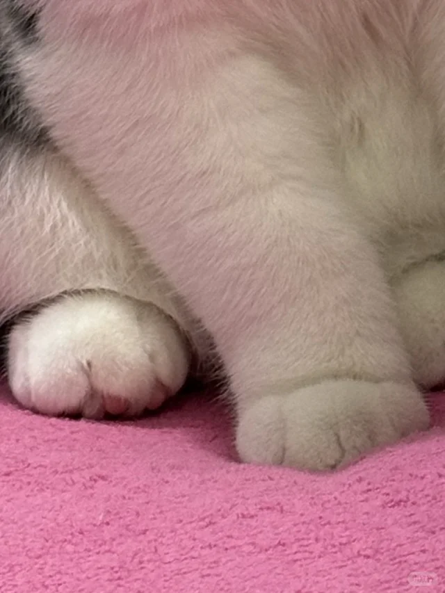 室友晚上不洗脚怎么办