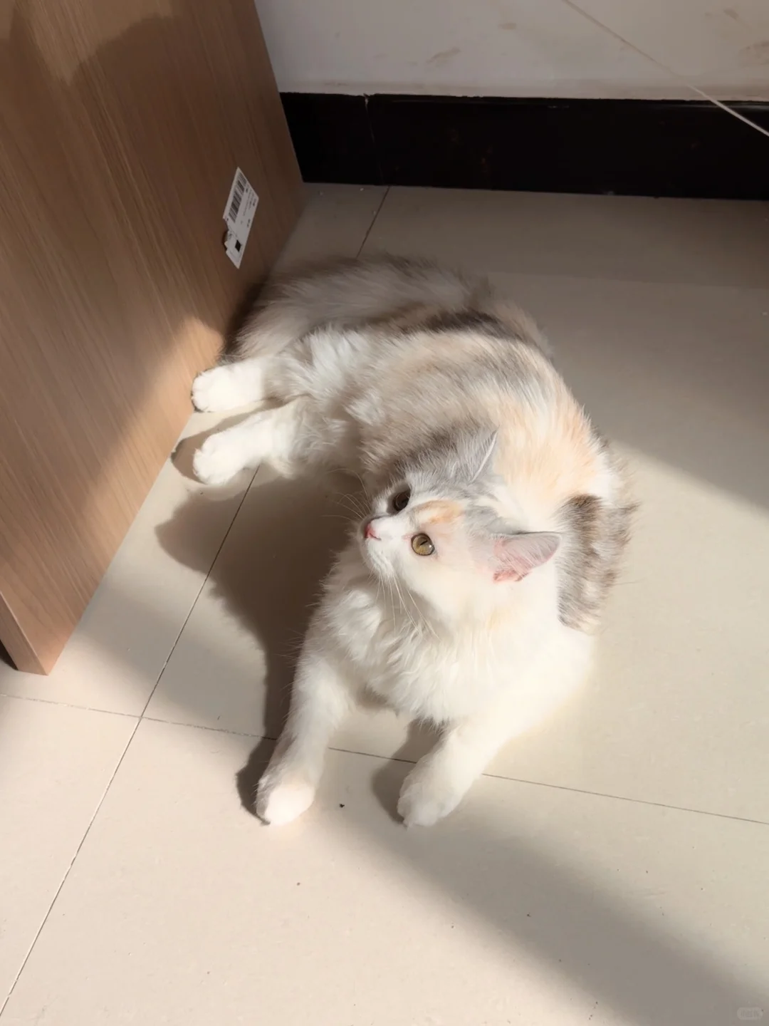 邯郸银三花相亲