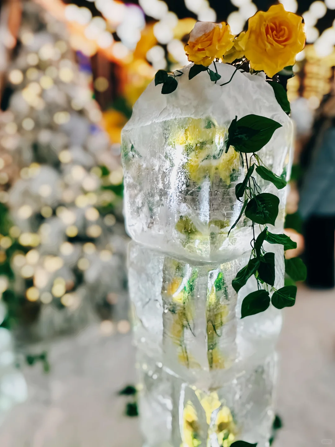 可能其实还是晚上更美丽[晚安R]哈尔滨 雪一落就美成了诗