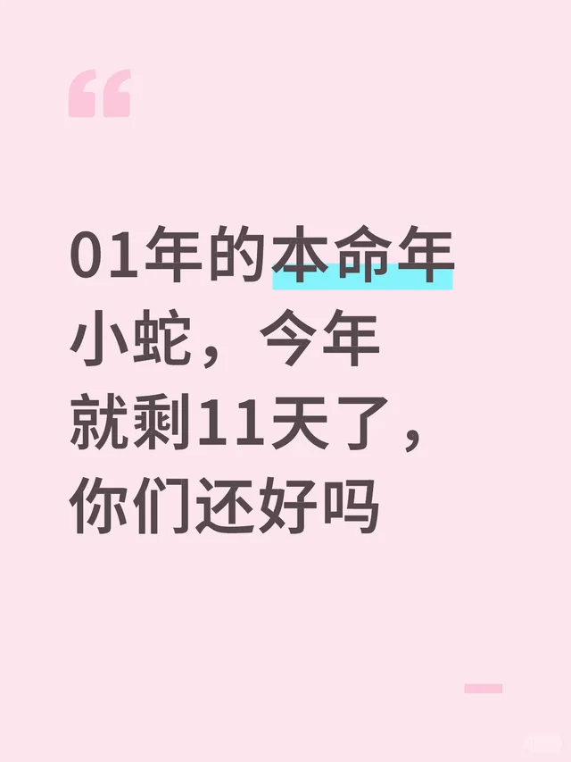 01年的本命年小蛇，今年就剩11天了，你们还好吗