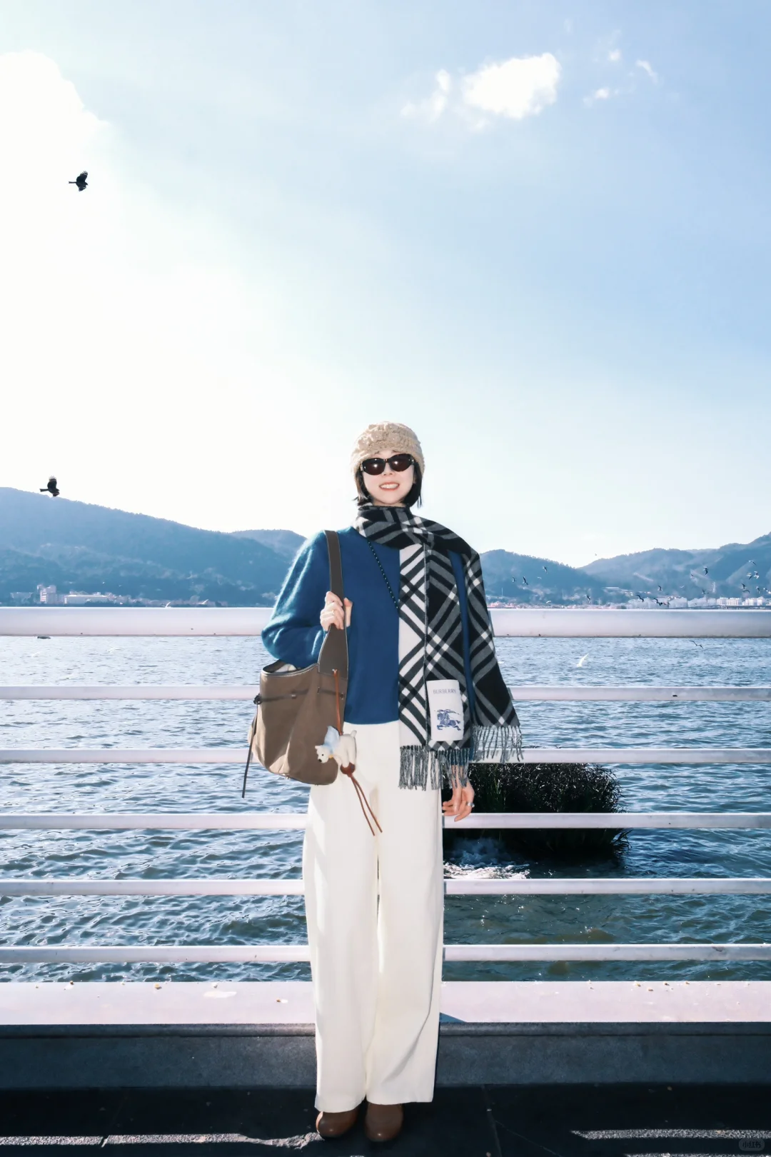 非常Lucky✌️遇到了滇池海鸥回迁时?