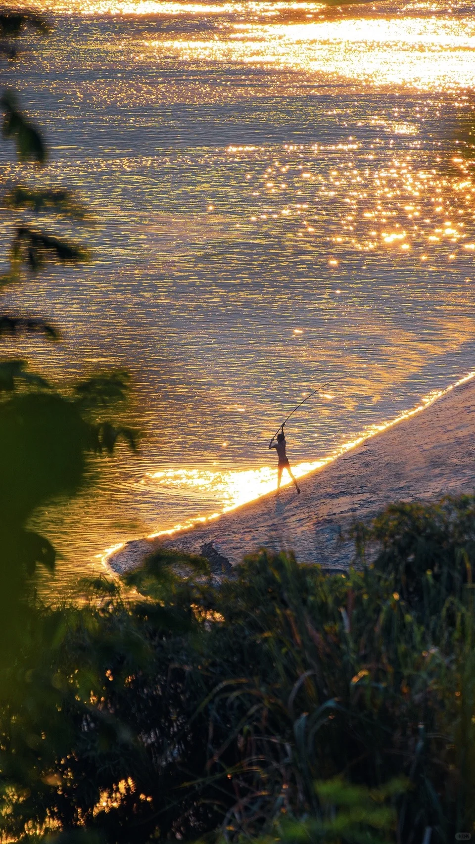 2025|星光会说话。
