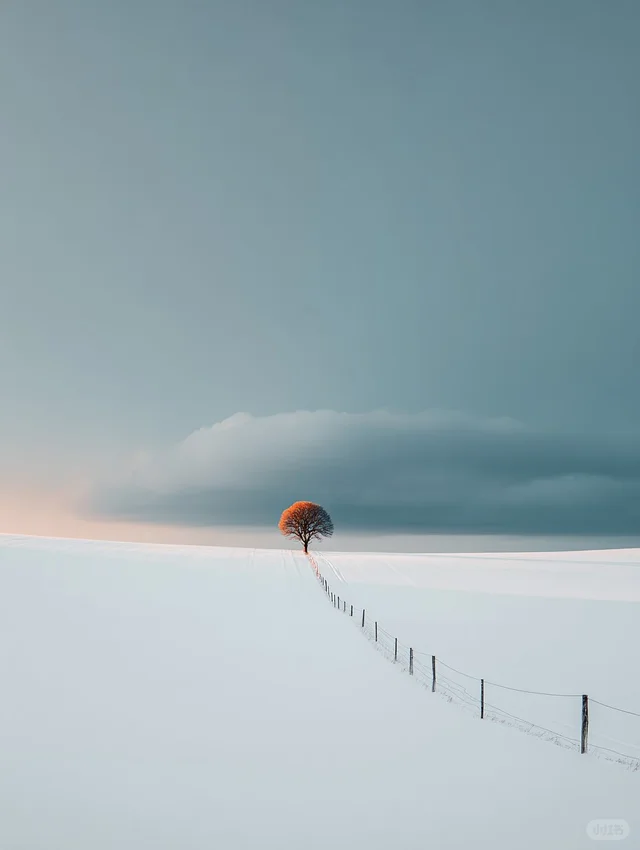 审美积累｜fernlichtsicht