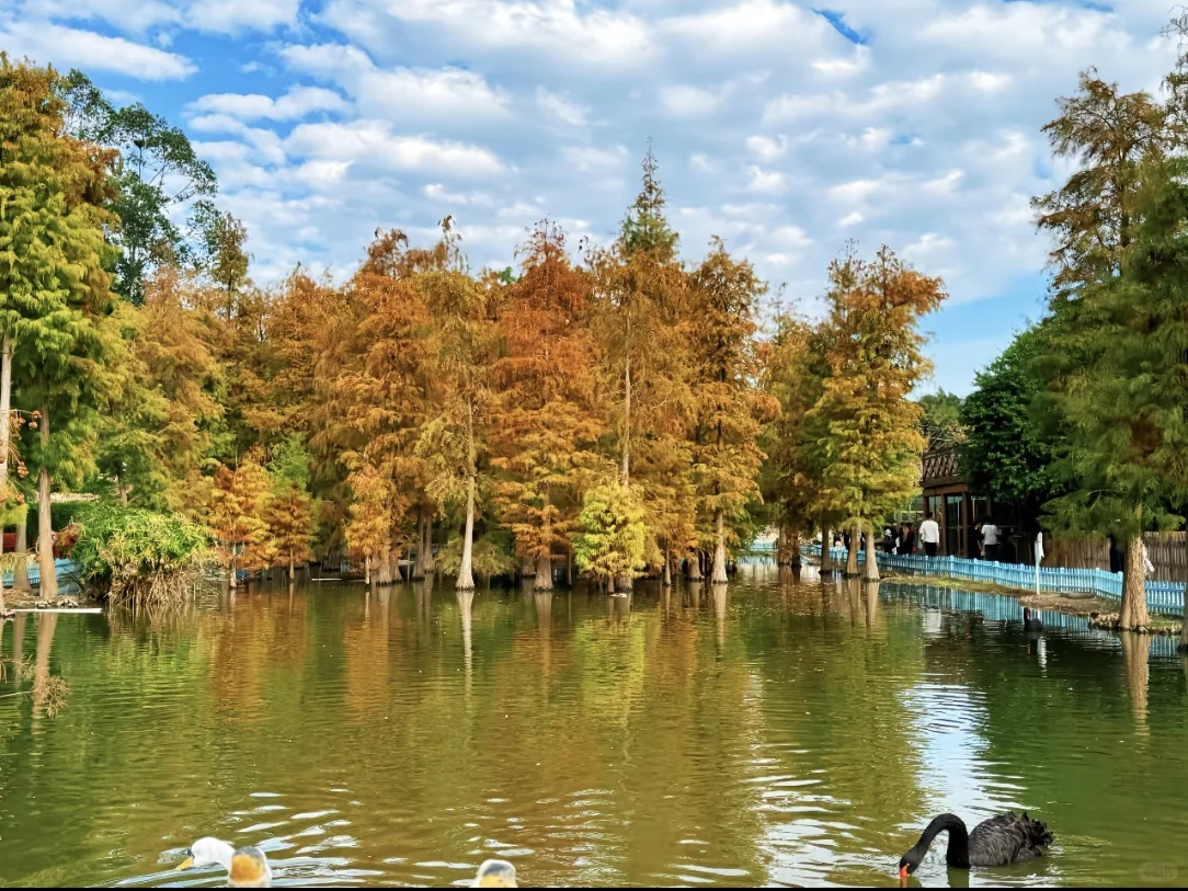 #2025年东南现代农业博览会.花卉博览会#