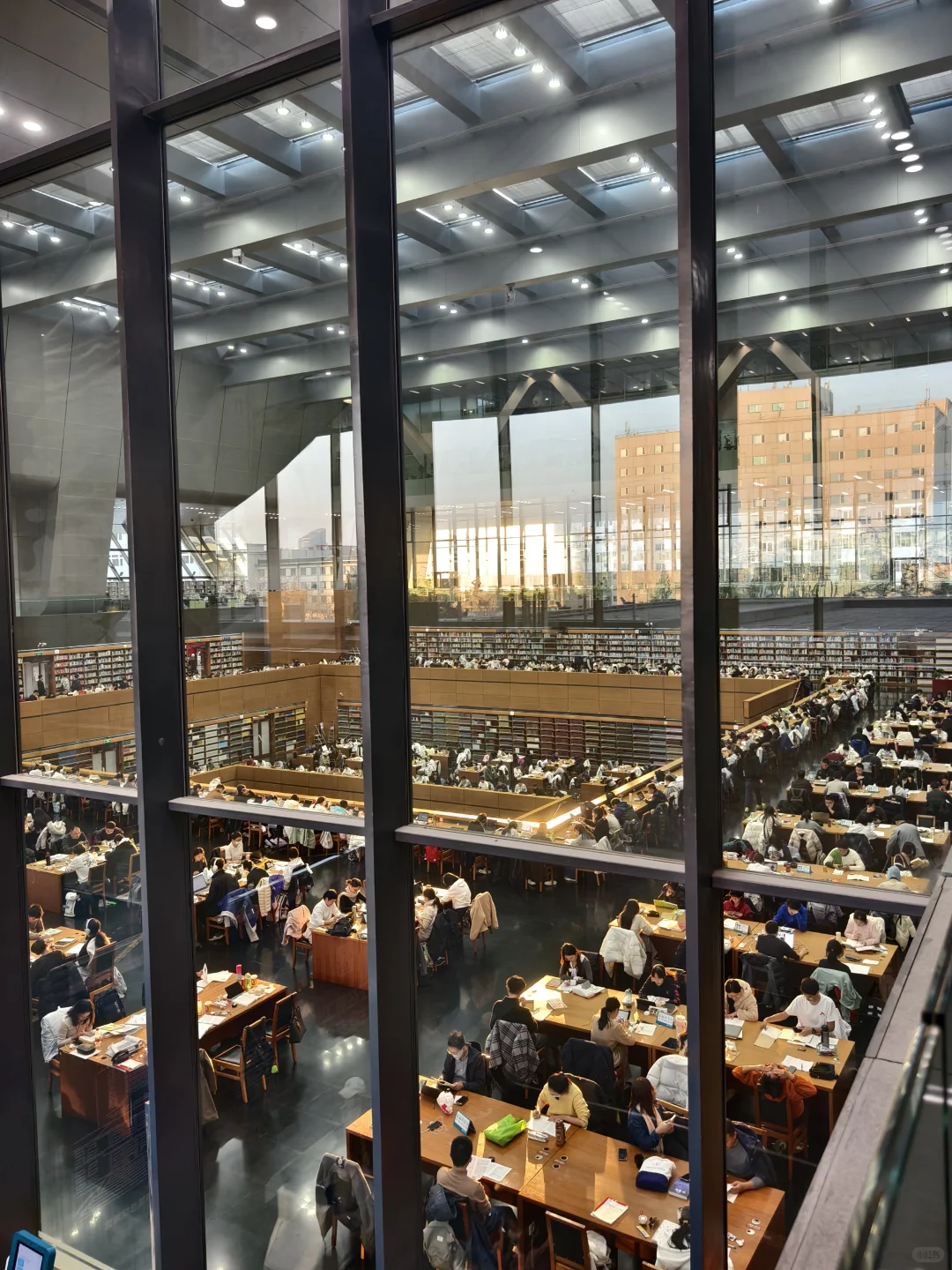 狗来了都得学两小时，亚洲最大的图书馆