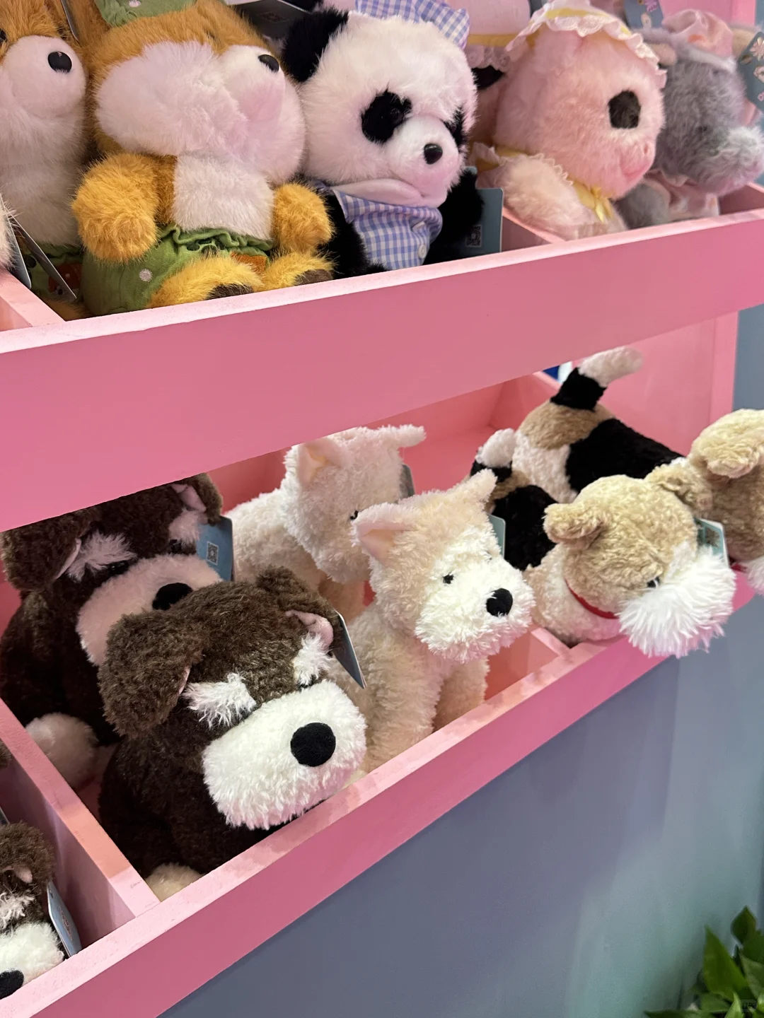 深圳礼品展?多爱新品现场直击！！