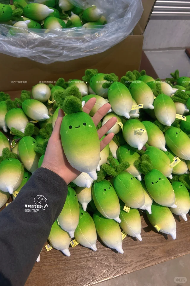 算了，跟你们没有小萝卜的说不清楚